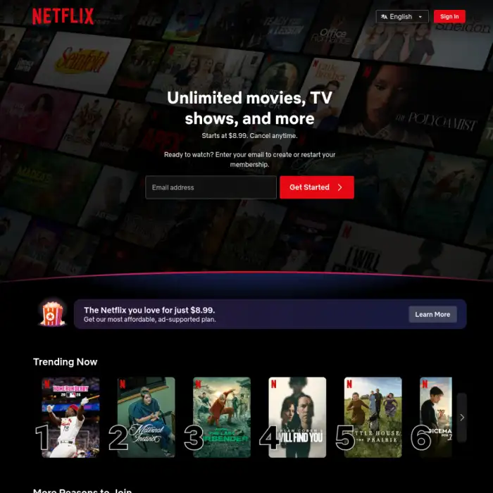 Netflix — desktop interface